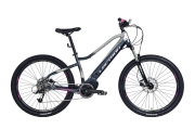 Lectron Montana MX 16,5